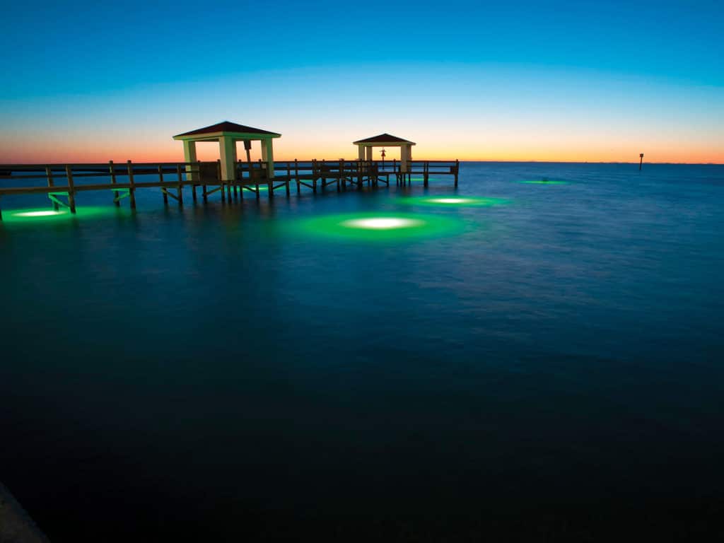 Dock lights at night