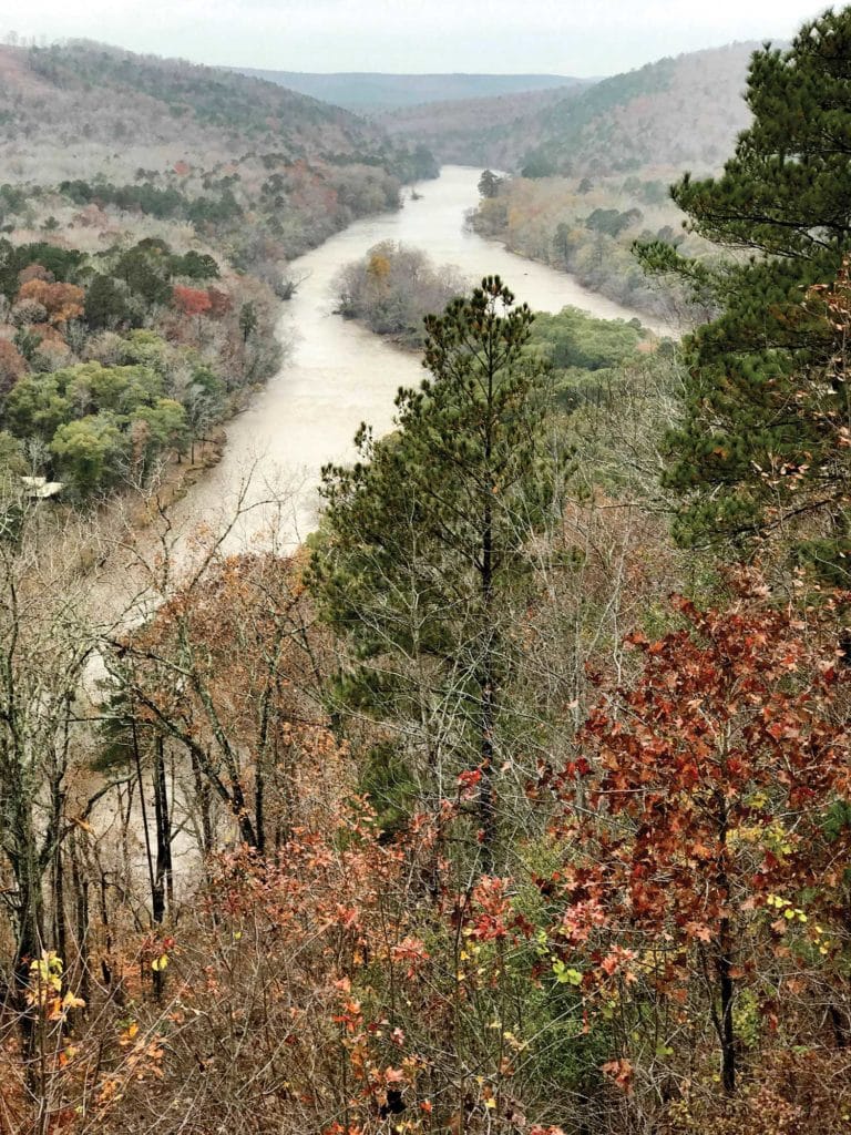 Flint River in Georgia