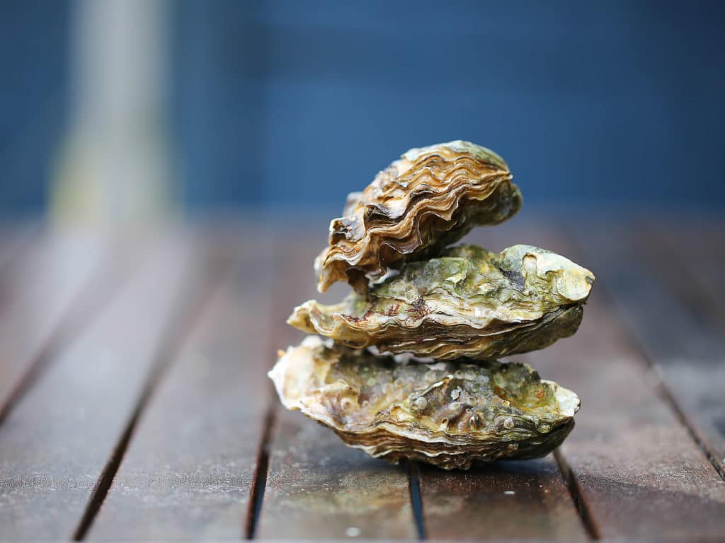 Oysters on a table