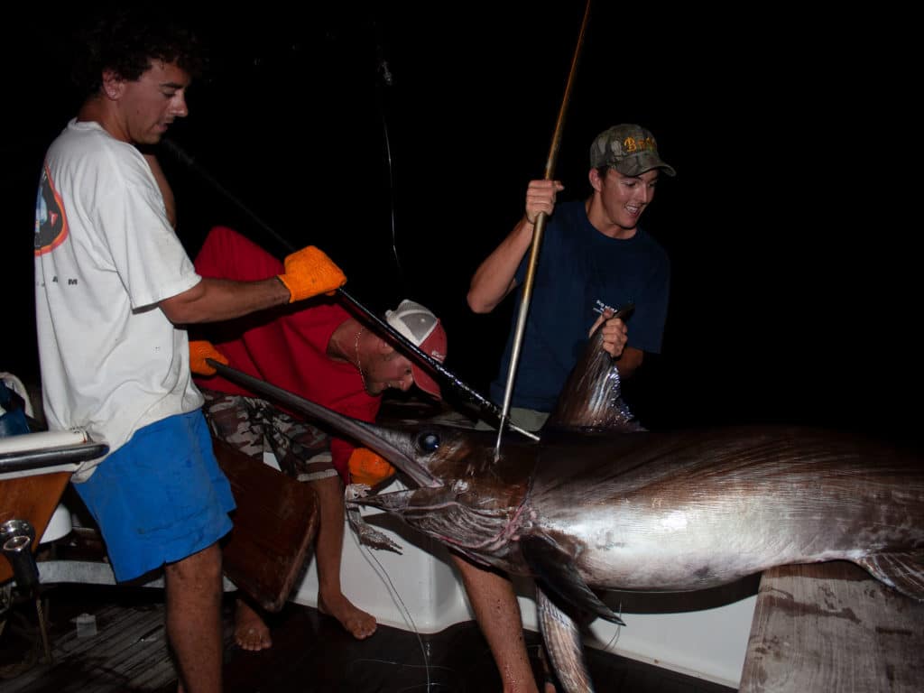 Swordfish caught at night