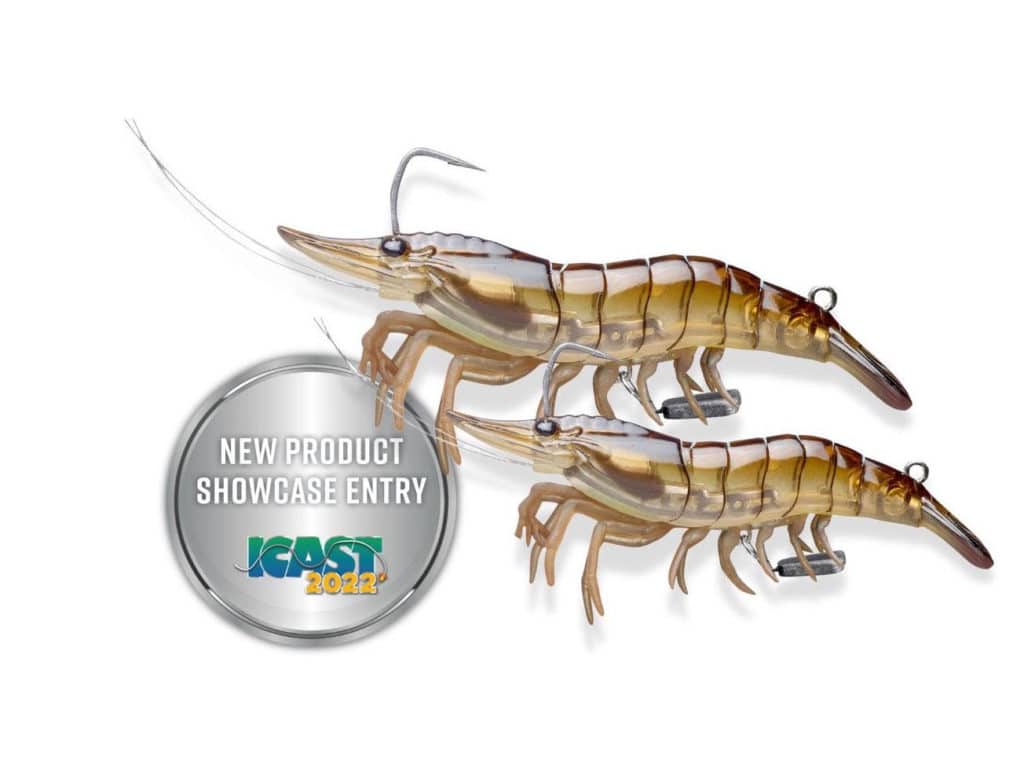 LiveTarget Live Shrimp