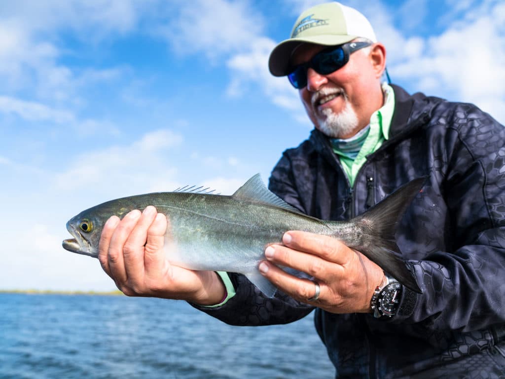Angler holding up a bluefish
