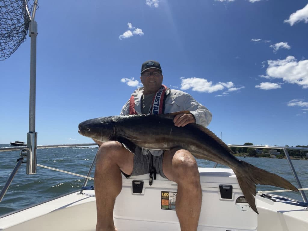 Connecticut record cobia