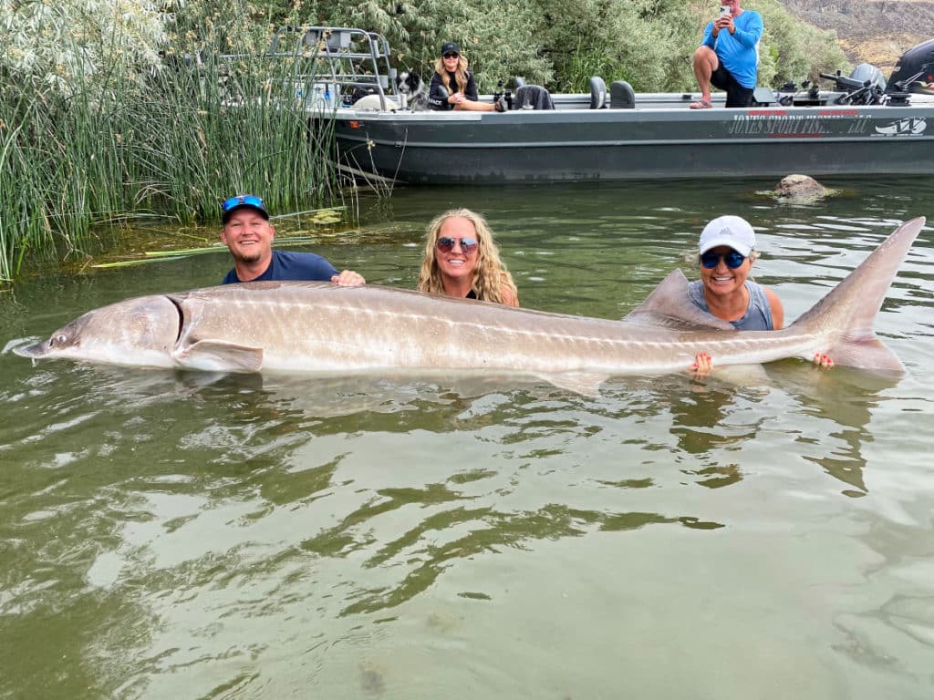Greg and Angie Poulsen with record sturgeon