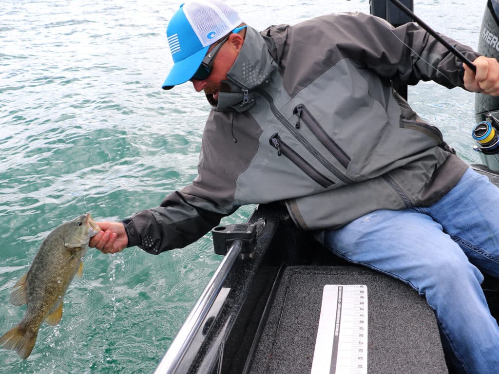 Landing a smallmouth bass