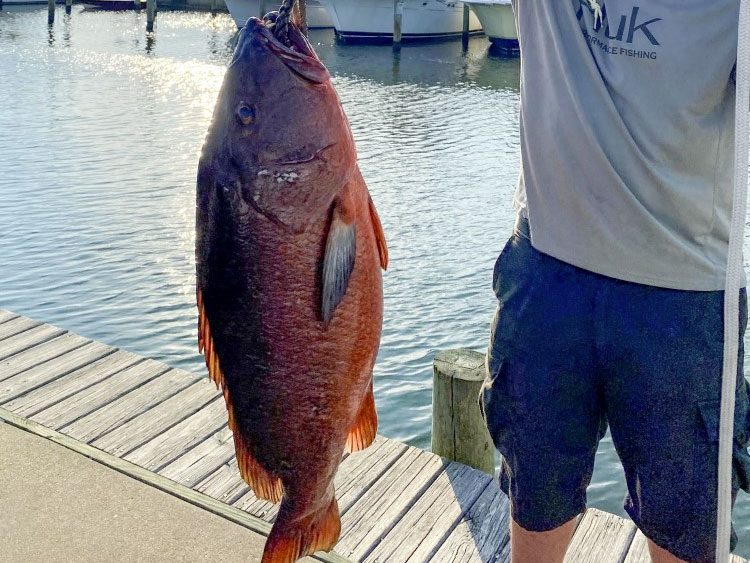 Thomas Madsen with cubera snapper