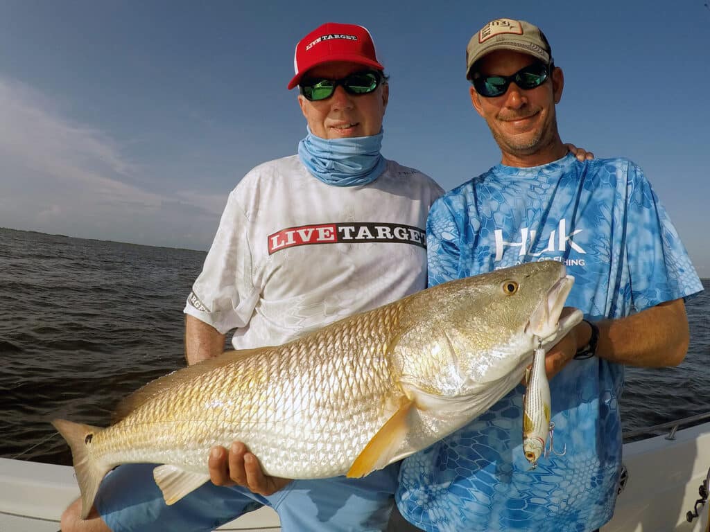 Louisiana bull redfish on topwater