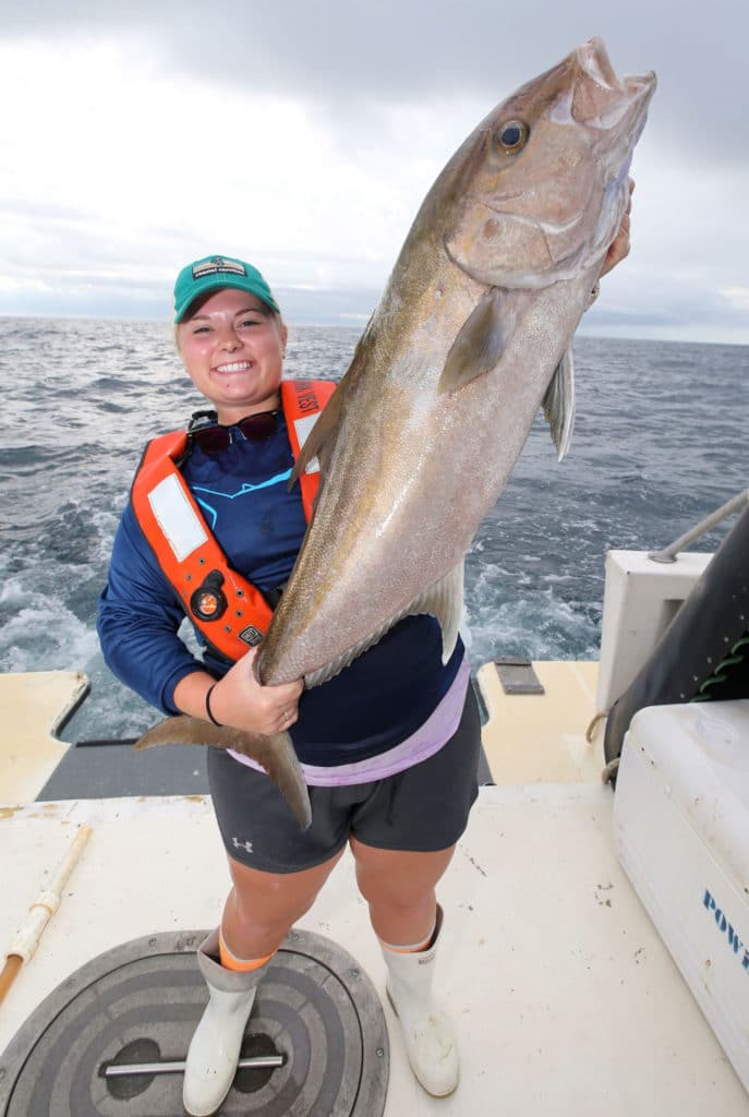 New amberjack study in the Atlantic and Gulf