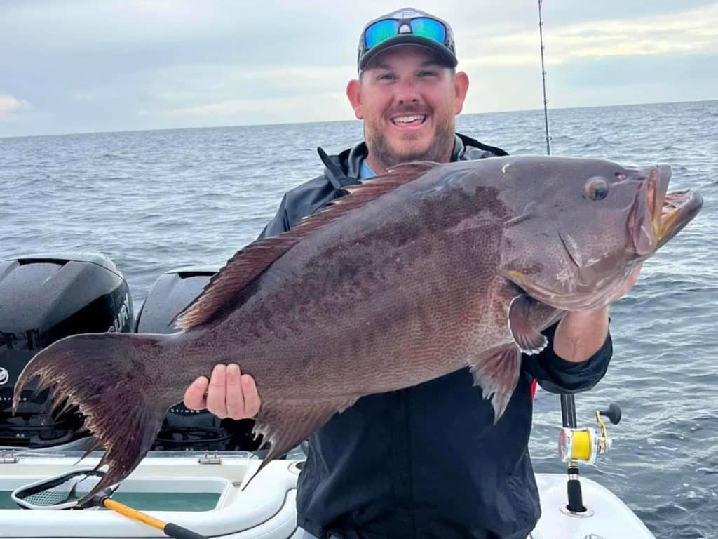 Giant Scamp Just a Pound Off the State Record