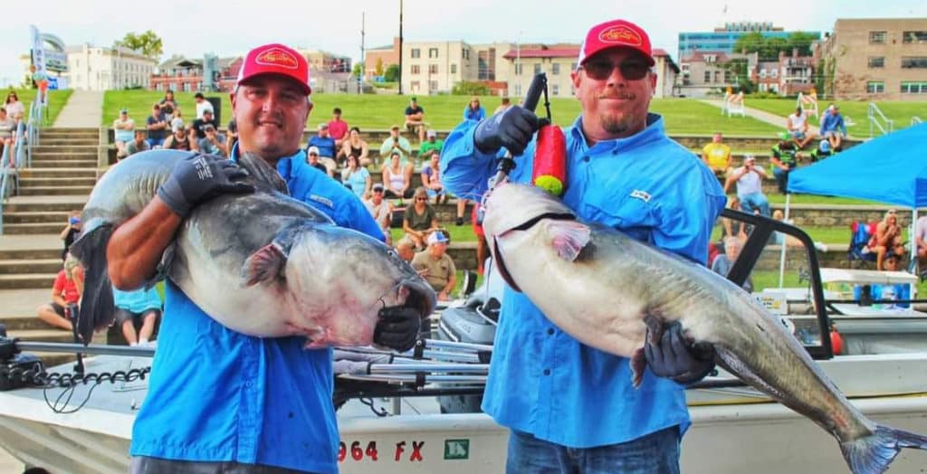 Giant Catfish Catches Rule Mississippi River Tournament Near St