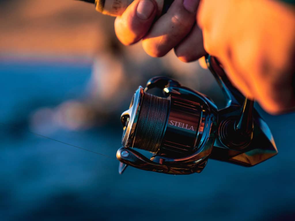 Shimano Stella reel