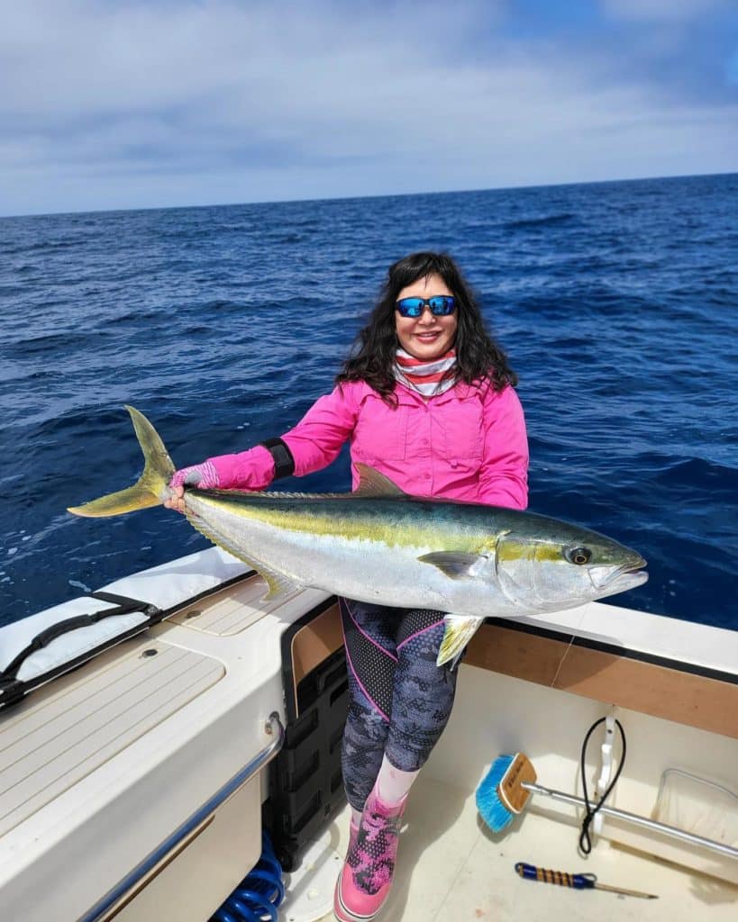 Record yellowtail