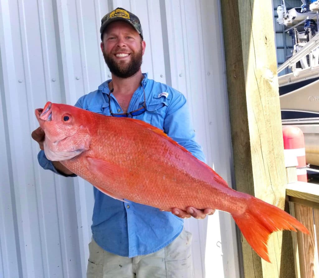 Red Snapper