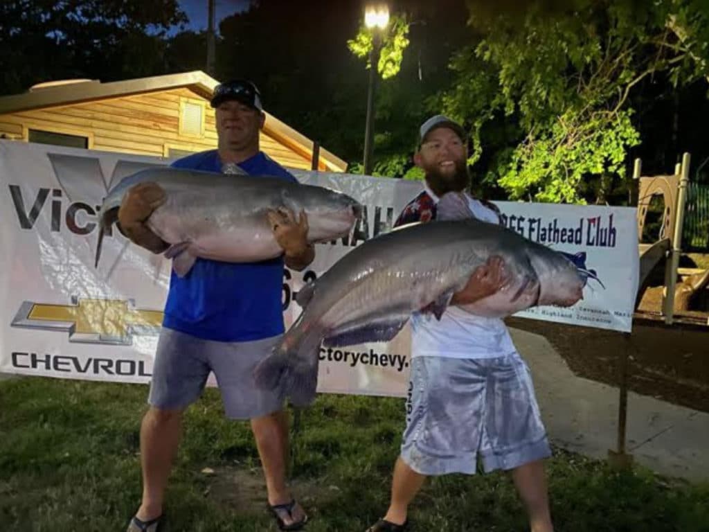Huge catfish caught in Pennsylvania