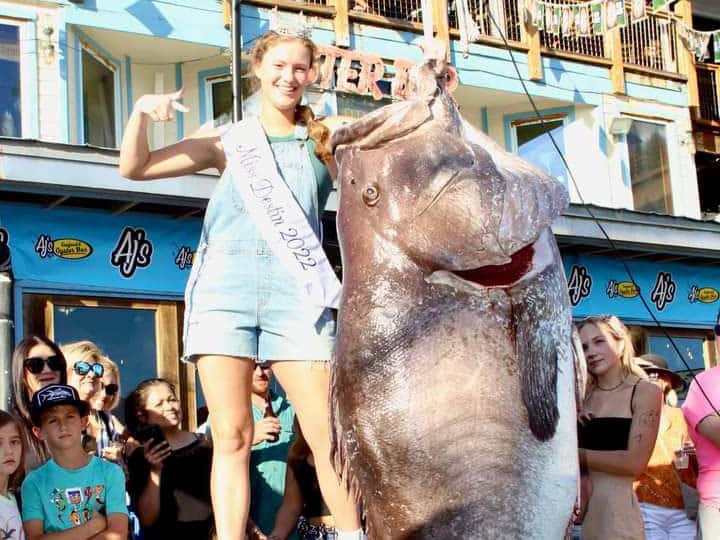 Giant grouper caught in Destin