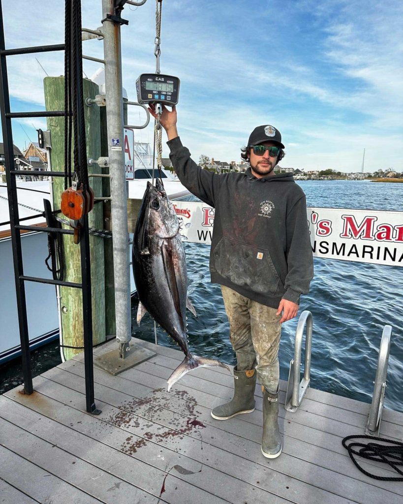 Longfin tuna record