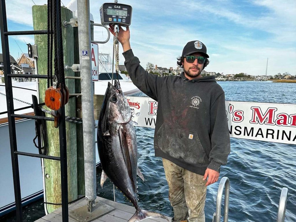 Longfin tuna record