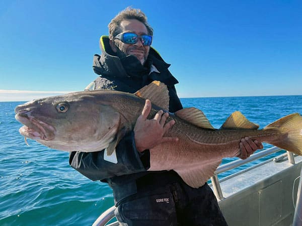 Record Atlantic cod