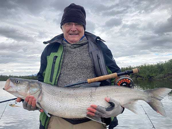 IGFA record sheefish