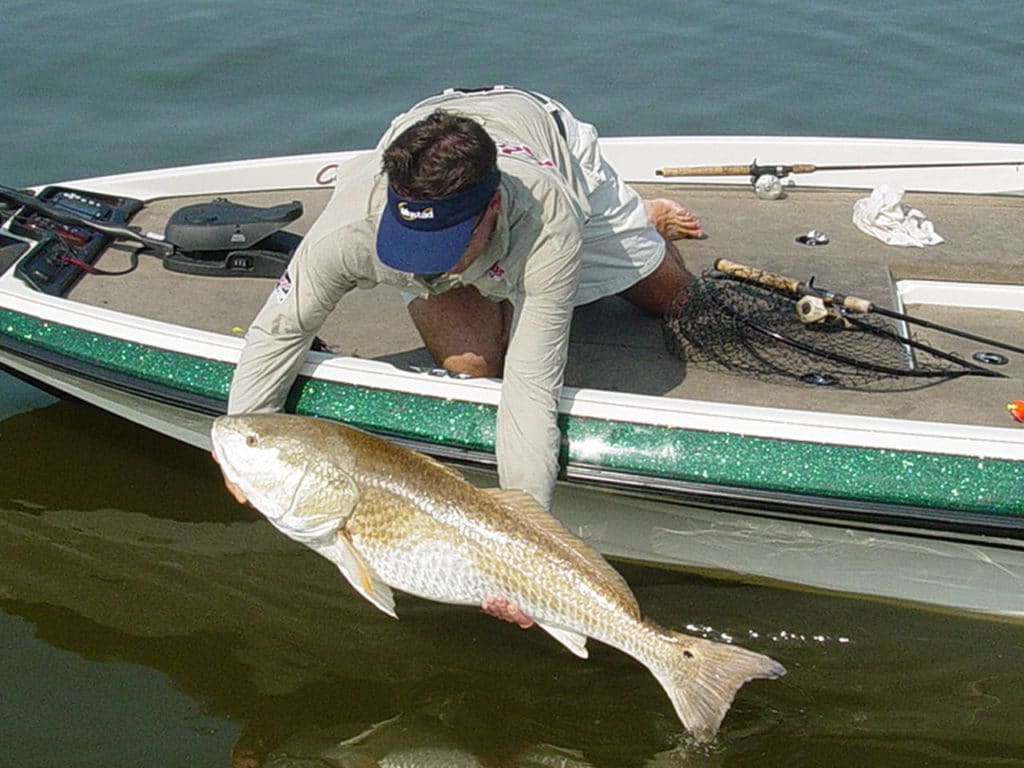 Angler releasing redfish