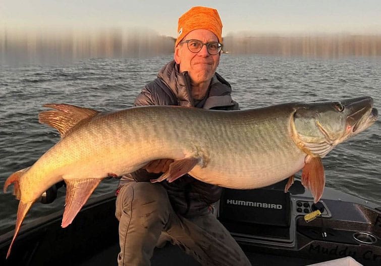 New York Angler Boats a 42-Pound Muskie