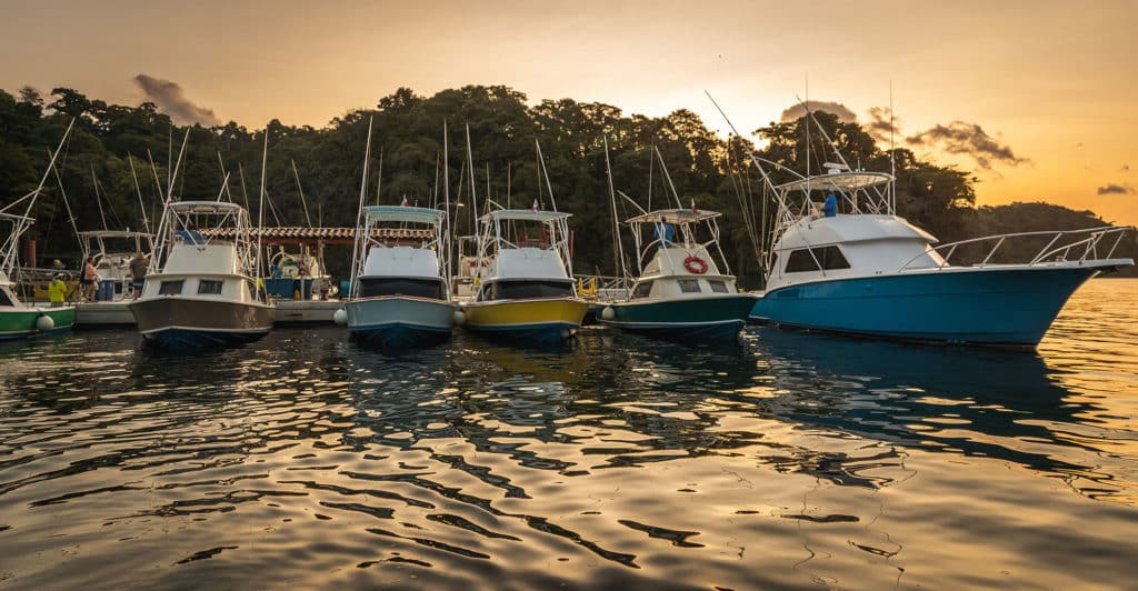 Fleet of boats at Tropic Star