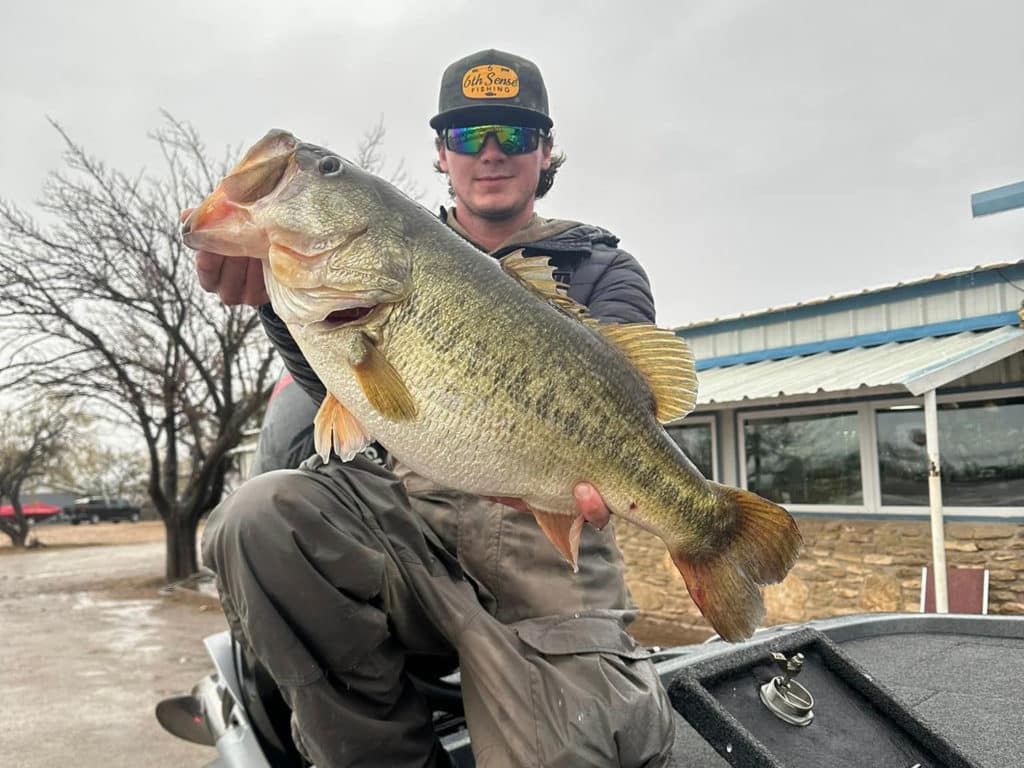 14 pound largemouth bass from texas