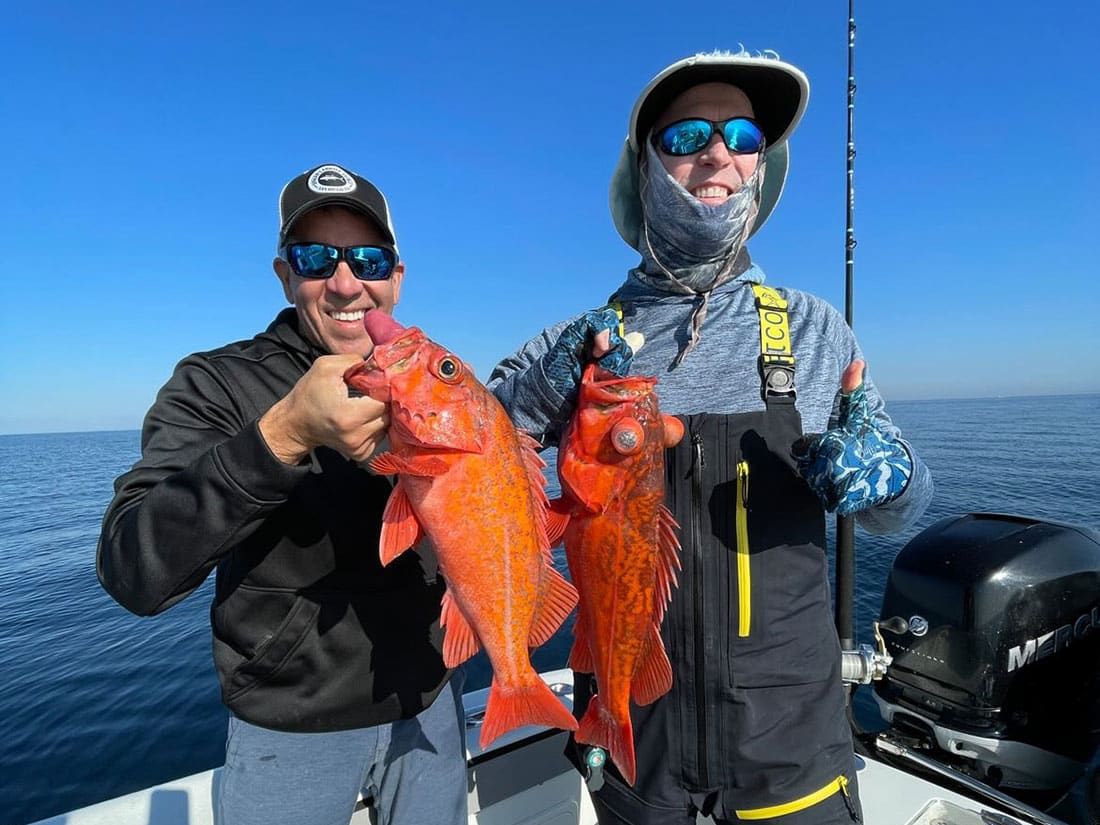 California's Winter Rockfish Bite