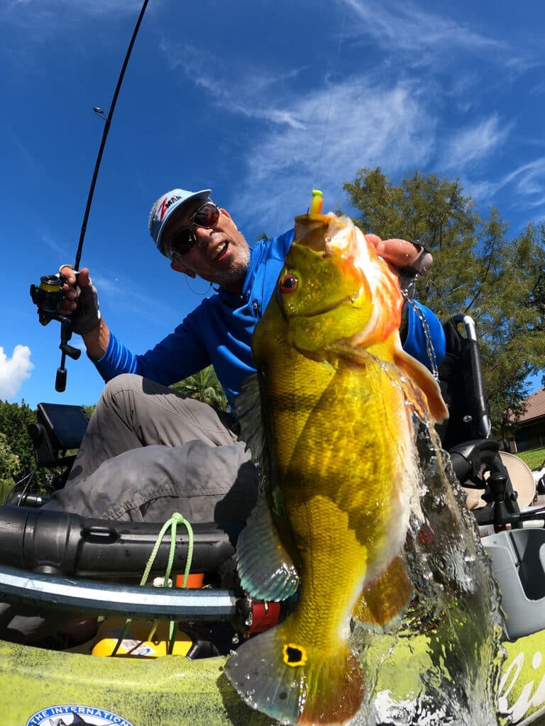 peacock bass micro lure