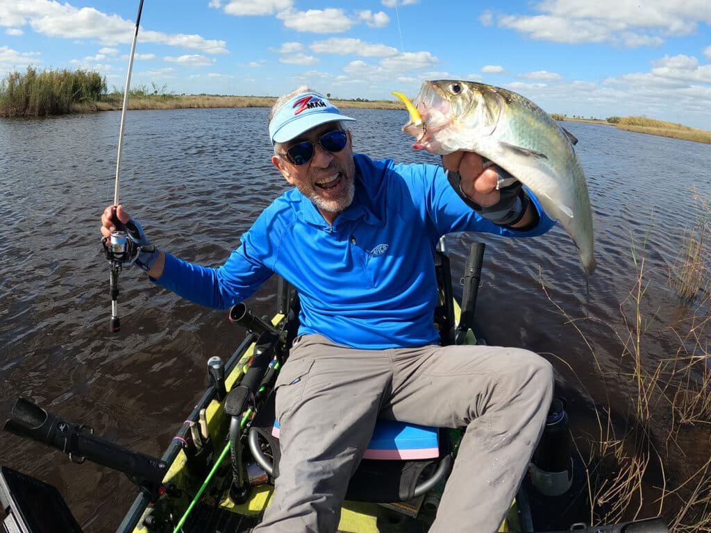 American shad micro lure