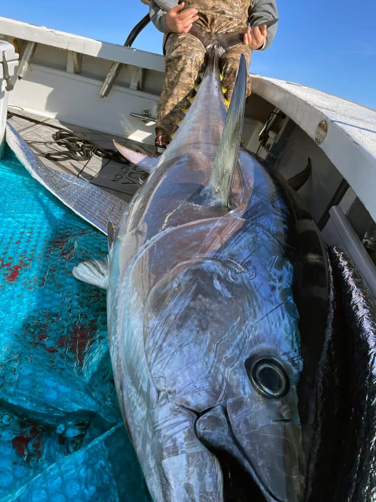 103 inch bluefin tuna