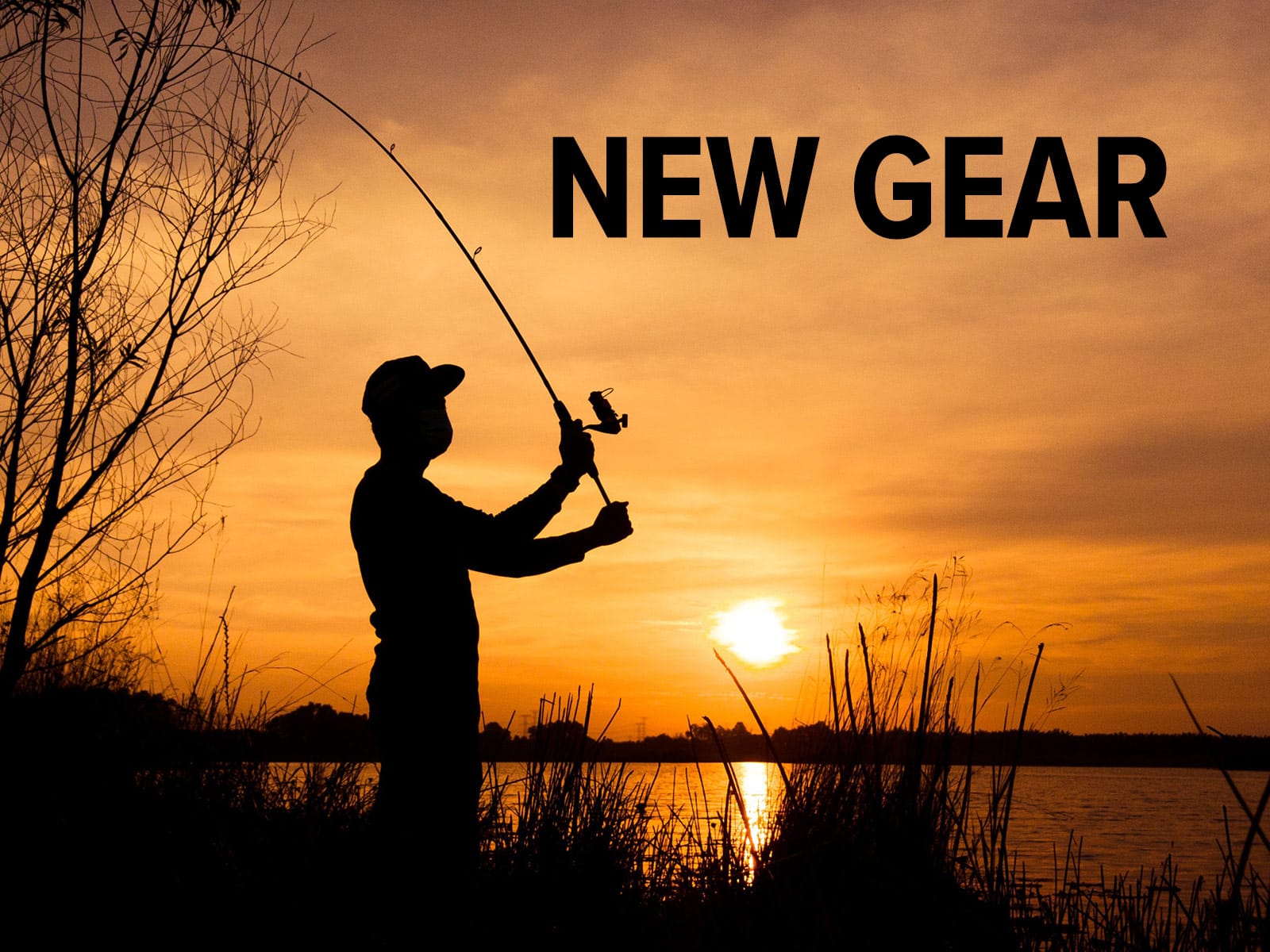 New Freshwater Fishing Gear