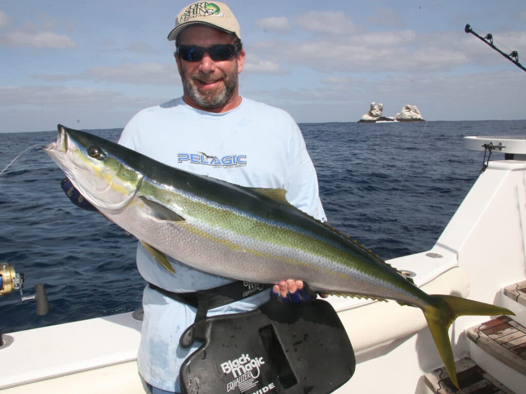 rainbow runner