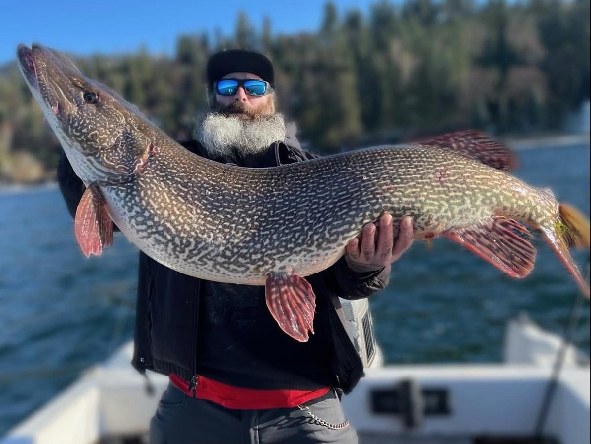State Record Pike Caught in North Idaho