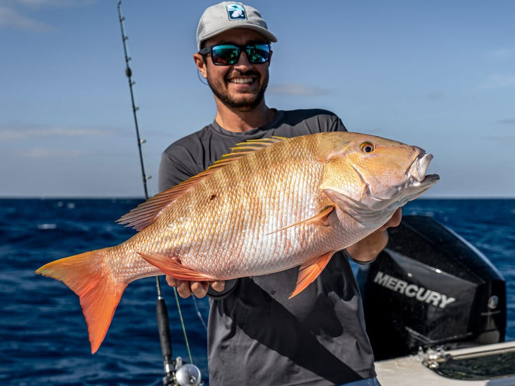 mutton snapper