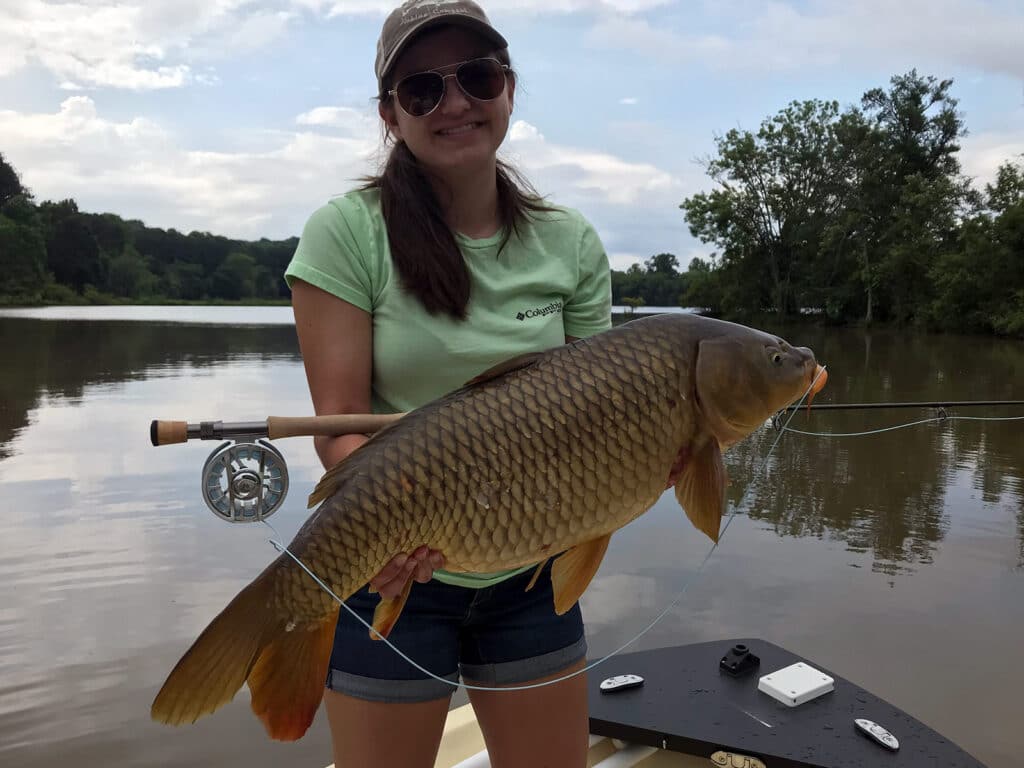 Georgia grass carp