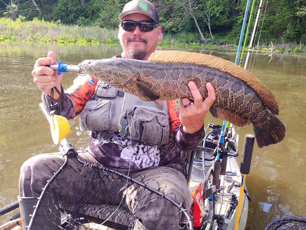 Snakehead fishing in Maryland