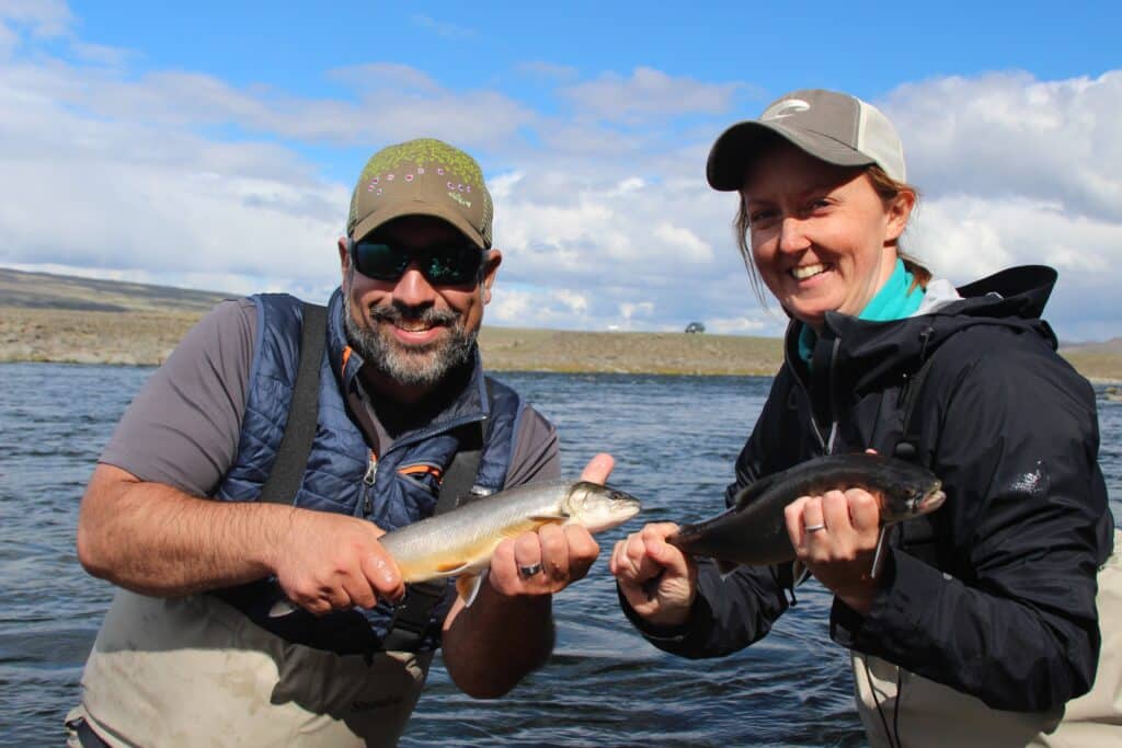 doubleheader of arctic char in Iceland