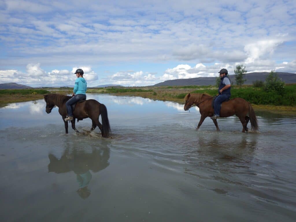 riding Icelandic horses