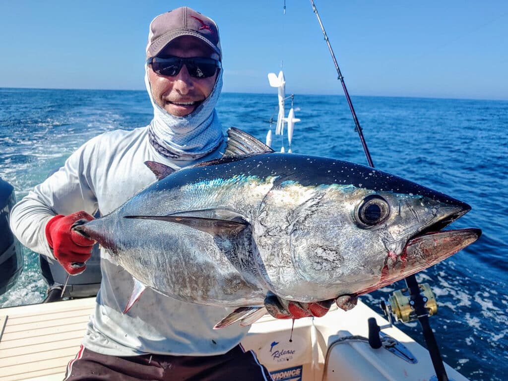 Trolling for tuna early in the season