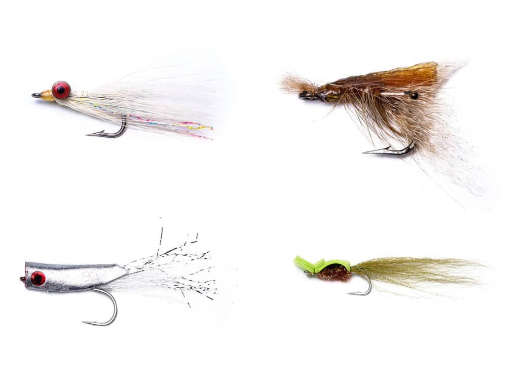 Backwater flies collection