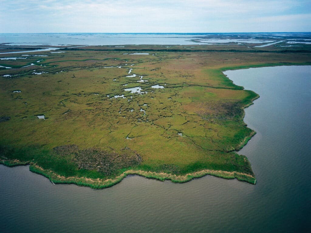 Mississippi marshes