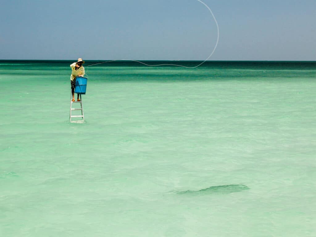 Angler fly fishing for tarpon