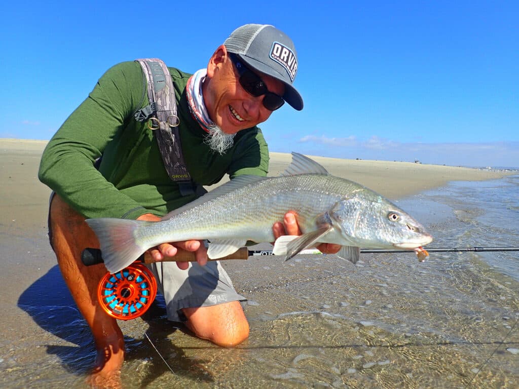 Angler holding corbina caught fly fishing