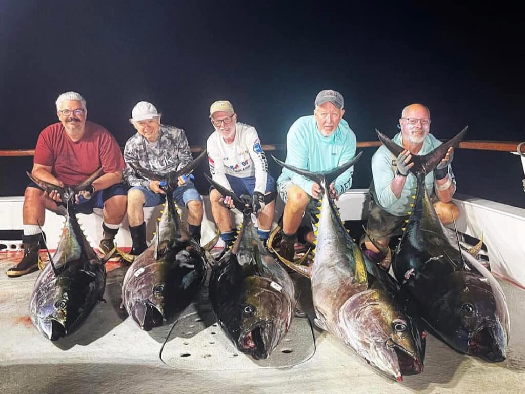 night time tuna fishing