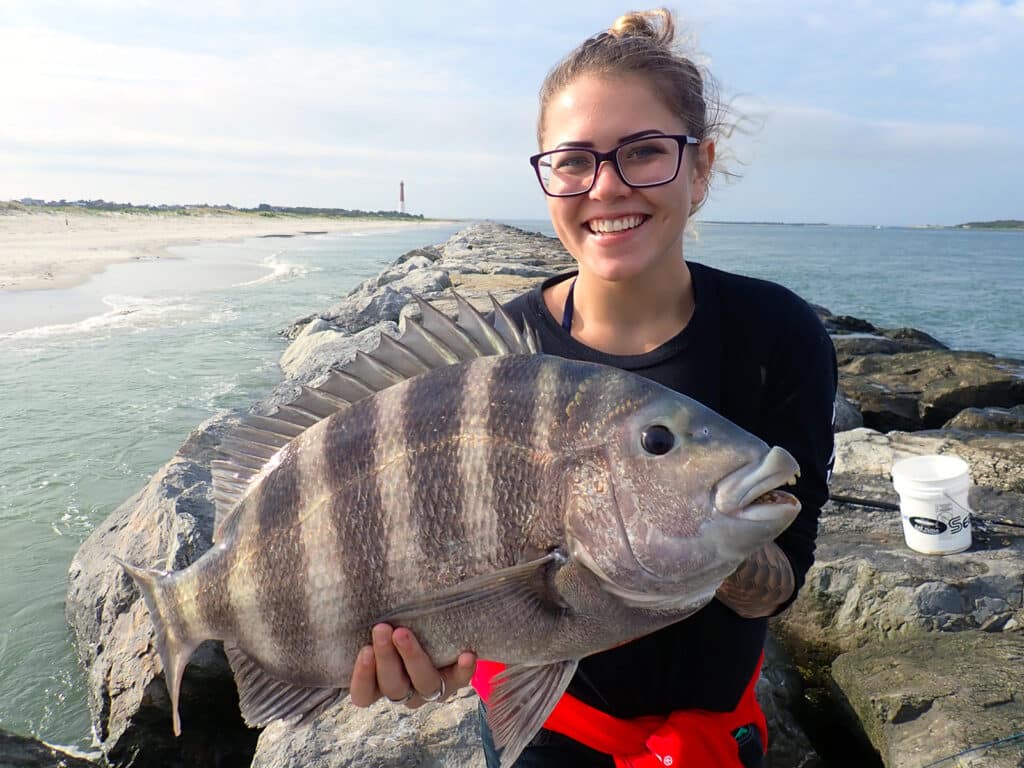 New Jersey sheepshead caught at a jetty