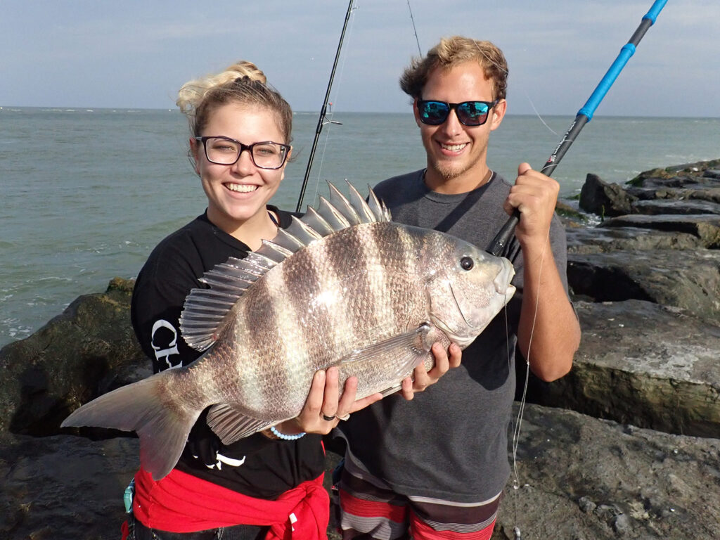 big sheepshead at jetty