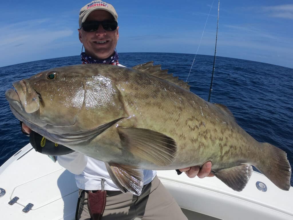 Large grouper wreck fishing off Charleston