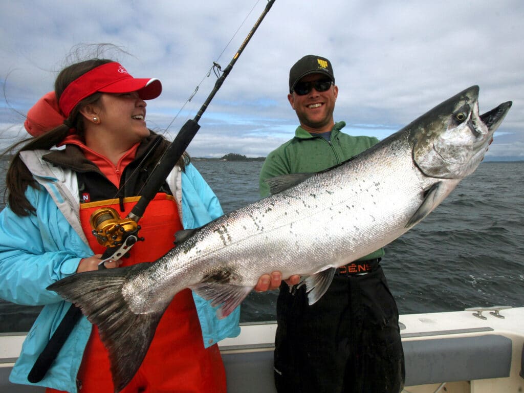 Large salmon caught in Alaska