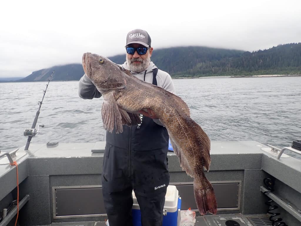 Nice-sized lingcod caught near Sitka
